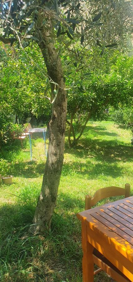 Xho'S Forest Guest House Berat Exterior foto