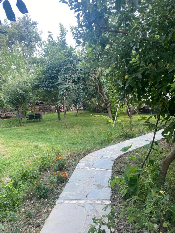 Xho'S Forest Guest House Berat Exterior foto
