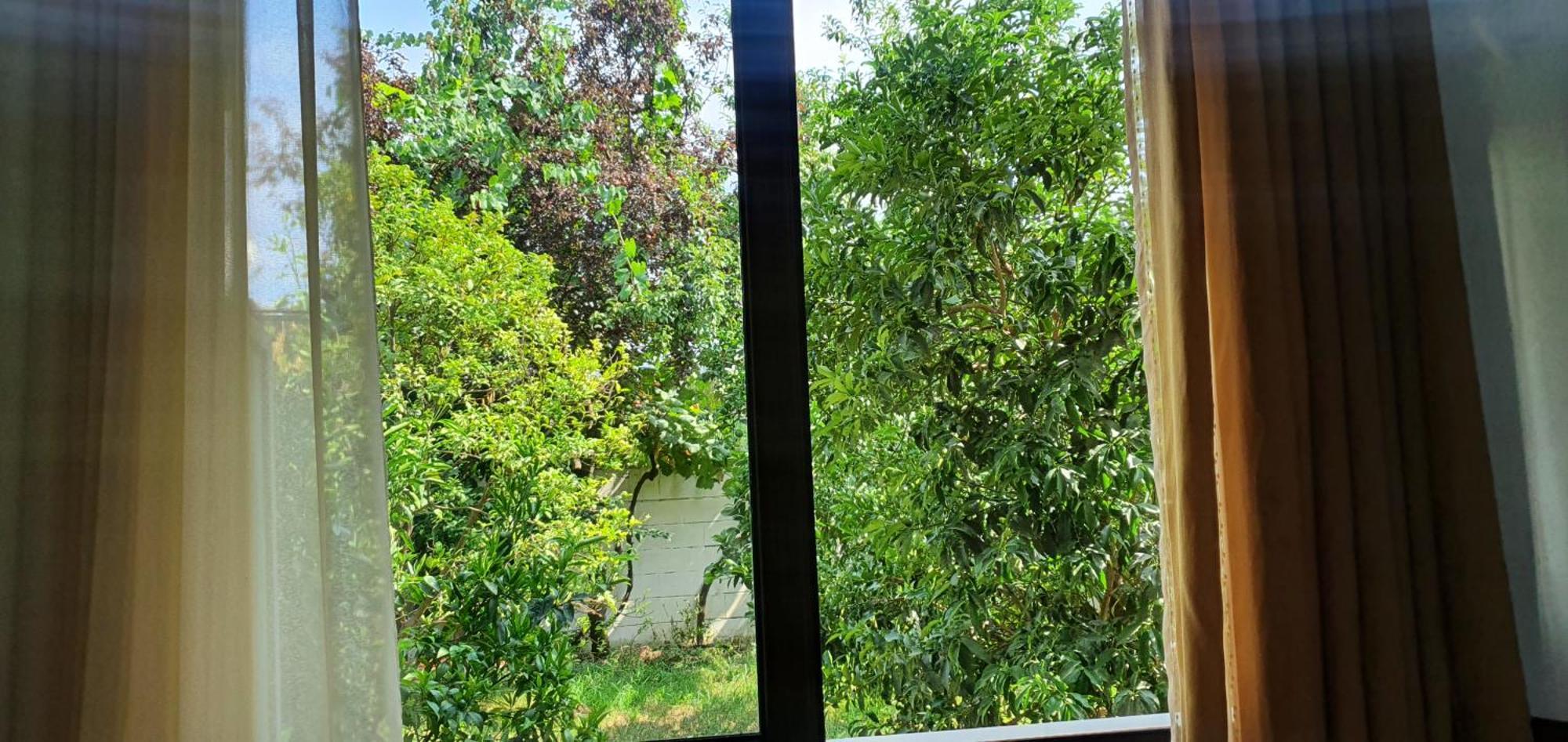 Xho'S Forest Guest House Berat Quarto foto